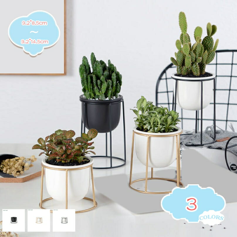 800円OFFクーポン ボールプランタースタンド ブラック ポットスタンド 鉢置き 植物スタンド 花台 おしゃれ プランター置き 園芸ラック 花 ガーデニング 観葉植物 丸 ガーデン アイアンスタンド 北欧風 植物棚 玄関 棚 植物 多肉植物 shopcp