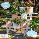 1650円OFFクーポン フラワースタンド 3段 花台 プランター台 棚板 ホワイト チョコブラウン 植物 鉢 プランター 飾り台 ガーデニング 庭 花壇 ベランダ 室内 玄関 スリム コンパクト おしゃれ 鉢スタンド プランタースタンド shopcp