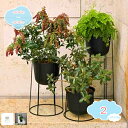 800円OFFクーポン ボールプランタースタンド ブラック 円形 丸脚 アイアン 防錆 植木鉢 ガーデニング ラック 室内 屋外 花台 プランタースタンド 鉢置き インテリア 脚付き 北欧 鉢台 テラス 玄関 バルコニー 敬老の日 プランター台 shopcp