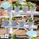 1650円OFFクーポン フラワースタンド 2段 花台 プランター台 棚板 ホワイト チョコブラウン 植物 鉢 プランター 飾り台 ガーデニング 庭 花壇 ベランダ 室内 玄関 スリム コンパクト おしゃれ 鉢スタンド プランタースタンド shopcp