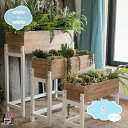 プランタースタンド おしゃれ 木製 アイアン 室内 花台 ガーデニング フラワーラック ガーデンラック 屋内 プランター台 収納 プランターシェルフ プランター...