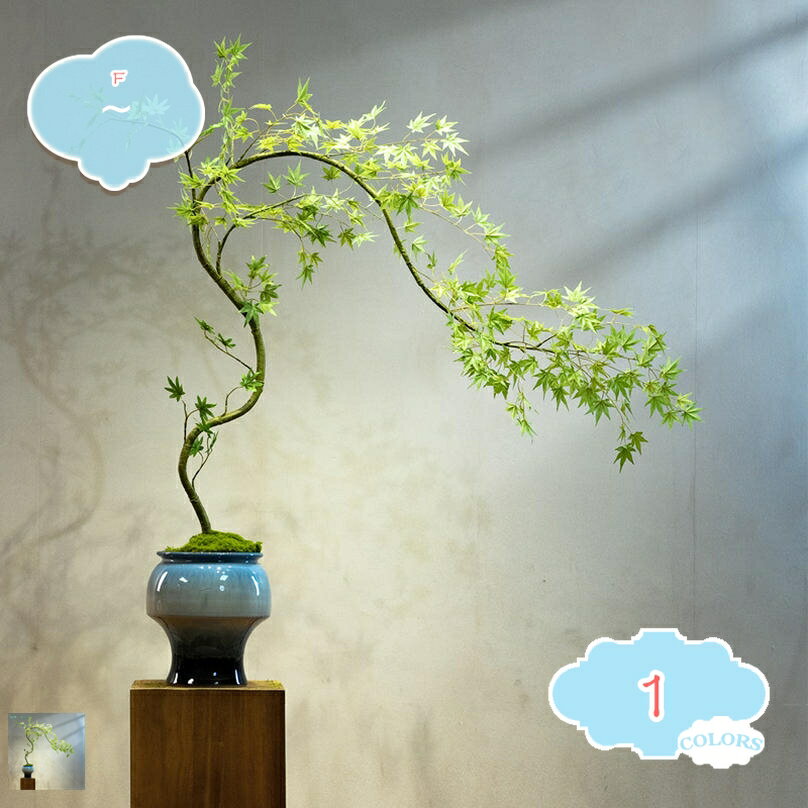2000円OFFクーポン 人工観葉植物 フェイクグリーン 鉢植え 卓上 小型 幸福の木 おしゃれ 現代的な装飾 細い枝に繊細な葉 茂る外観 自然な姿 本物そっくり リビングルーム 玄関 室内装飾 屋外 バルコニー お世話不要 人工盆栽 ディスプレイ用 shopcp