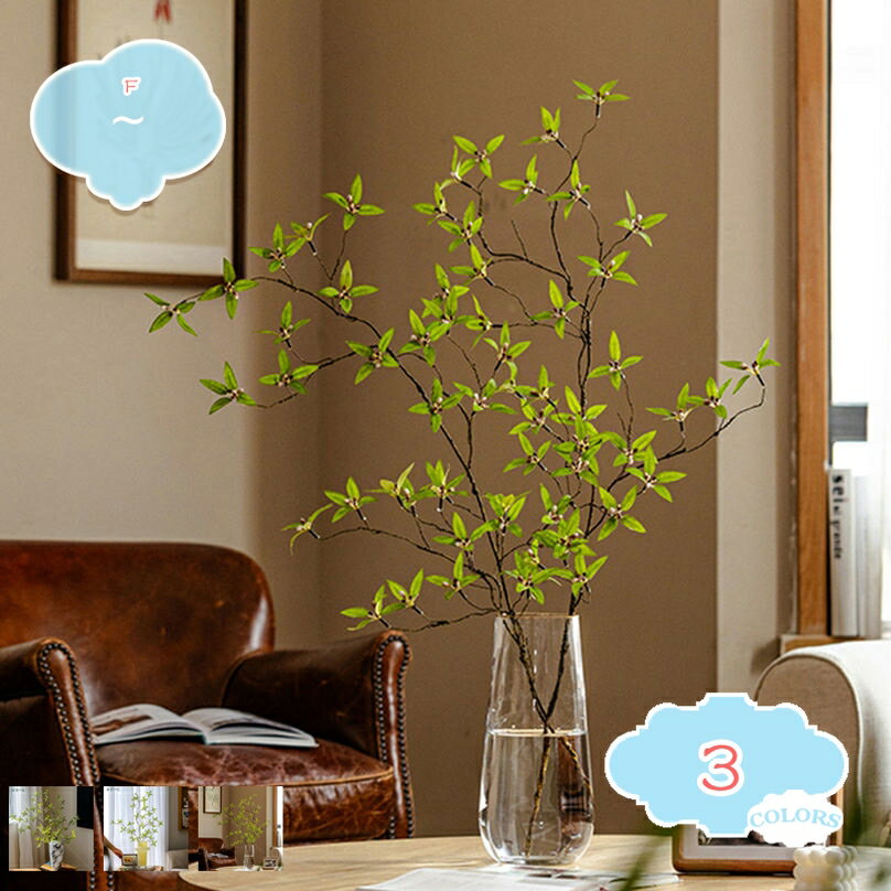 楽天市場】ドウダンツツジ（カラーマルチカラー）の通販