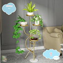3500円OFFクーポン フラワースタンド アイアン フラワーラック 鉢植え 植木鉢スタンド スタンド 園芸ラック 花台 植物棚 盆栽棚 屋外 室内 花棚 植物スタンド飾り台 花収納 プランター 玄関 飾り 収納ラック 花置き棚 花置き棚 組み立てが簡単 おしゃれ shopcp