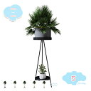 800円OFFクーポン ポット スタンド フラワースタンド 観葉植物 北欧風 2段式 80cm 簡単組み立て 消毒液台 多機能 アイアン スチール 鉢置き 鉢カバー プランタースタンド 植木鉢 ラック 丸 花台 植物棚 おしゃれ 花 ガーデニング 屋外 室内 冬 空気清浄機加湿 shopcp