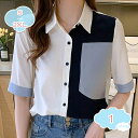 1650円OFFクーポン レディース オフィス ブラウス 夏 半袖 シャツ vネック ワイシャツ 大きいサイズ きれいめ vネック とろみ 襟付き トップス 通勤 事務服 OL 入学式 フォーマル blouse おしゃれOL エレガント 上品 クラシカル シャツブラウス shopcp(4)