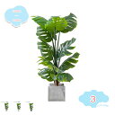 3500円OFFクーポン 人工観葉植物 フェイクグリーン 大きい インテリア 玄関 オフィス リビング 緑のある暮らし インテリアグリーン 観葉植物 鉢植え 引...