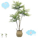 人工観葉植物 常緑樹 ナンテン 目隠し 大型 人工観葉植物 リアル インテリア 観葉植物 フェイクグリーン リビング 玄関 屋内用 明るく爽やか フェイクグリー...