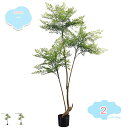 3500円OFFクーポン 人工観葉植物 大きい フェイクグリーン 大型 インテリア リビング オフィス 事務所 ショップ リビング 玄関 おしゃれ 人工観葉植物...