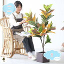 人工観葉植物 本物そっくり 大型 人工植物 目隠し フェイクグリーン インテリア 観葉植物 リビング 会議室 人工観葉植物 お祝い 引越し祝い 新築祝い トロピカル植物 自然でリアル 枯れない プレゼント ギフト フェイクグリーン shopcp(4)