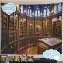 タペストリー 本棚 図書館 古典 おしゃれ 落ち着く プレゼント サプライズ クラシック 背景 気分 インテリア 壁掛け 壁飾り 暖簾 ホリデーパーティー 雰囲...