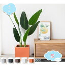 3500円OFFクーポン シンプルなセメント製植木鉢 穴あり 室内用プランター スクエア 大型 大容量 広口 観葉植物植木鉢 フラワーポット セメントプランター スタイリッシュ アンティーク 植木鉢 ハーブ鉢 園芸用品 ベーシック 鉢の底に排水穴付き shopcp