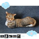 抱き枕 猫 ネコ ネコぬいぐるみ 猫抱き枕 かわいい スーパーソフト 洗える ねこ縫い包み リアル抱き枕 かわいい リアル 変形しにくい 大 柔らかく 店飾り ぬいぐるみ ふわふわ 肌触り 誕生日 店飾り物 プレゼント用 大 shopcp(3)