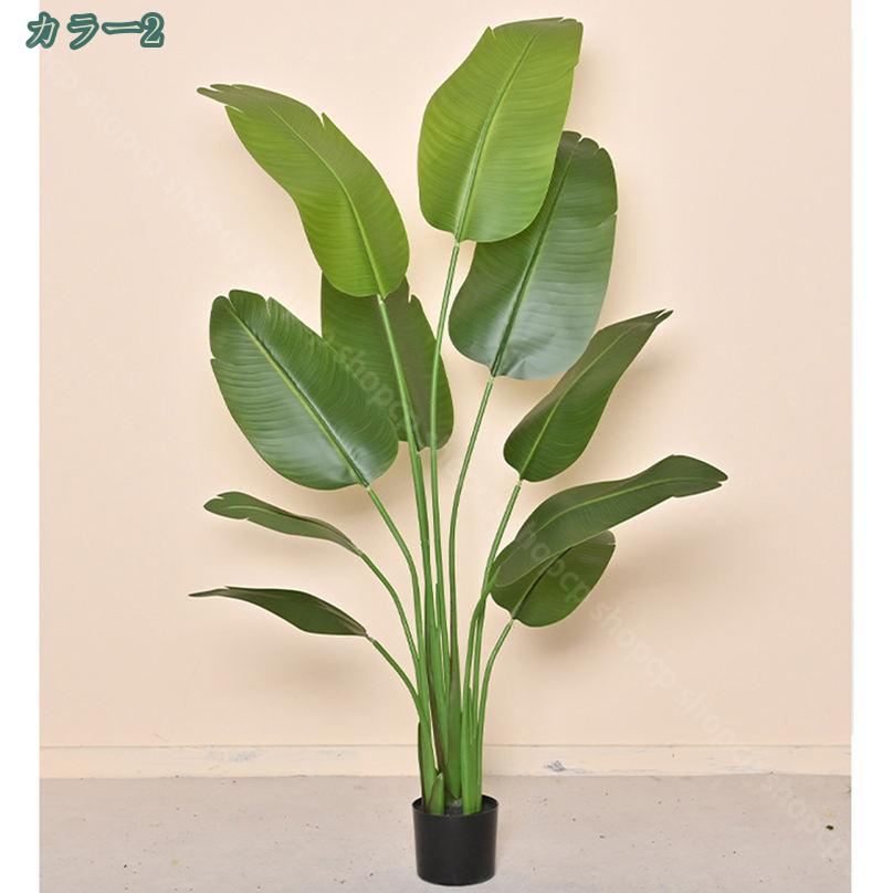 1000��OFF�����ݥ� �͹����տ�ʪ �ե��������꡼�� ��󥹥ƥ� �˳�Ļ ����ƥꥢ ���� ���ä��餺 ������� �������� �Ϥ�ʤ� �͹����� �ե�������ʪ �͹����տ�ʪ �ե��������꡼�� �ѥ��� ���ռ� ����ƥꥢ���� ���ե��� �ߺϿ�ʪ shopcp