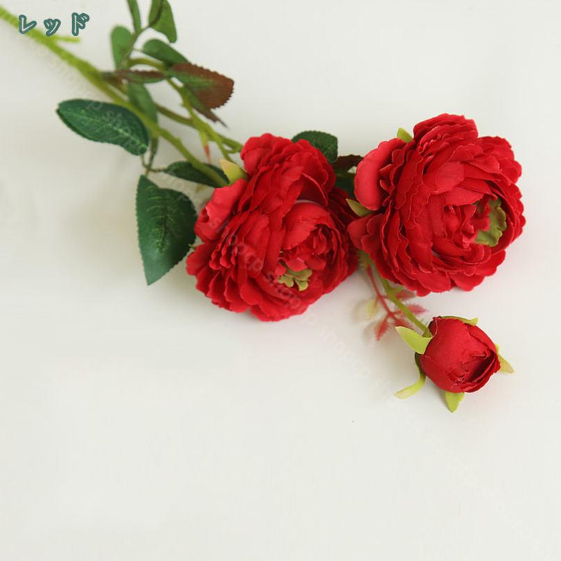 500��OFF�����ݥ� 10« ¤�� ������¤�� ��« ����ƥꥢ¤�� �����ߥ��� �ե� �֡��� ����� �С����ǡ� ���ˤ� �ۥ磻�ȥǡ� ����� ����� �뺧�ˤ� ���ش� ������ ´�� ��ǰ�� ������ ������ �ץ쥼��� �Х� �ԥ� �� ��������« shopcp