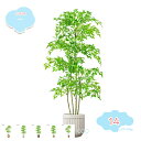 3500円OFFクーポン 人工観葉植物 鉢付き おしゃれ お祝い 父の日 アレカヤシ 人工観葉植物 フェイクグリーン リアル 鉢付き インテリア フェイクグリー...