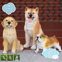 800円OFFクーポン 動物 オブジェ ガーデニング 置物 飾り 犬 ガーデンオブジェ 雑貨 インテリア ガーデンオーナメント 部屋 庭 屋外 玄関 出窓 階段...