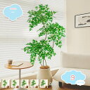 3500円OFFクーポン 大型 フェイクグリーン 人工観葉植物 人工樹木 ヤシ 自然でリアル 観葉植物 ナチュラルな雰囲気 人工観葉樹 モダンな装飾 人工樹木 ...
