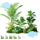 3500円OFFクーポン フェイクグリーン 大型 人工観葉植物 おしゃれ ナチュラル トロピカル植物 常緑樹 本物そっくり モンステラ 熱帯のヤシの木 アレカヤ...