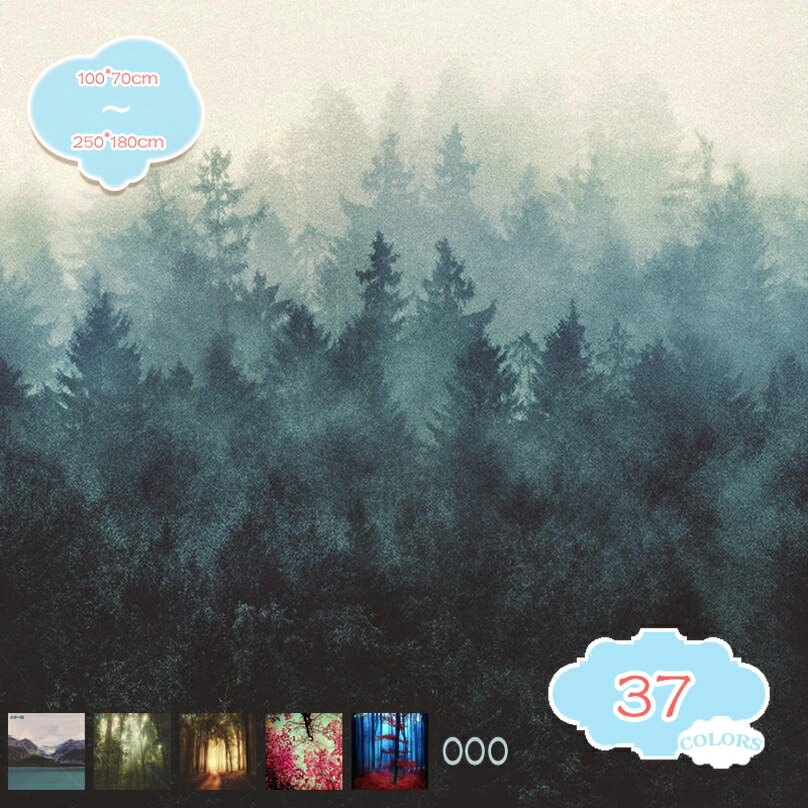 300円OFFクーポン 自然風景 タペストリー 青い空 雲 雰囲気を一変 壁掛け 壁画 ウォールアート多機能 装飾 寝室用 北欧風 室内装飾 カーテン インテリア 椰子の木 夕日 海 朝日 山 日照 日光 美しい 家庭飾り ドア 天井 インテリア カバー shopcp