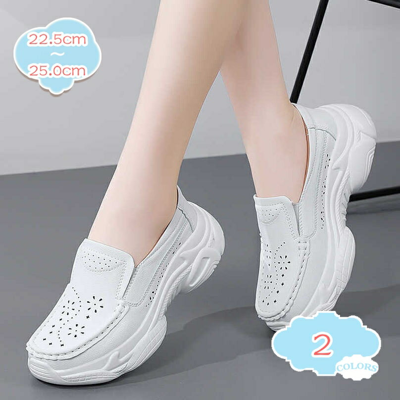 500��OFF�����ݥ� �ս� ���� �⥫���� �����ե��� ����åݥ� ��ǥ����� �������Ϥ褤 ���餫�� �ؿͷ� �ʡ������塼�� ��Ŭ �̵��� ���� �⤭�䤹��...