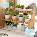 フラワースタンド 観葉植物 棚 花台 ガーデンラック フラワースタンド 2段 鉢置きスタンド 収納棚 植物棚 木製 園芸 植木鉢スタンド 園芸ラック プランター...