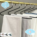 1650円OFFクーポン ハンガー 跡がつかないハンガー 洗濯ハンガー 10本組 ホワイト 乾湿両用 はんがー 多機能収納 おしゃれハンガー 省スペース 物干し...