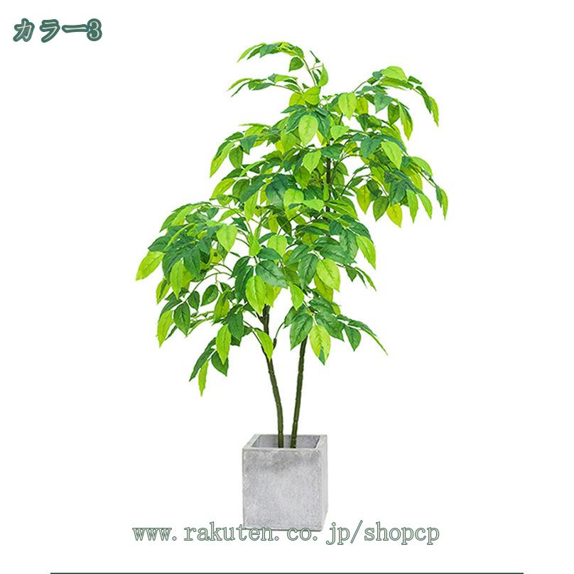 �͹����տ�ʪ �緿 �ե��������꡼�� ������� ����Ū������ ����ƥꥢ �ʥ����� �����ʻ� ���ե����в� Ź������ ���� ���ʲ��롼�� �ѵ� ���������Ȥ��� ��Ź ���� �ֻ��ڤ� �ե������ĥ꡼ �ץ쥼��� �ߺϿ�ʪ shopcp