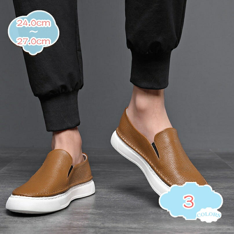 1000OFFݥ ɥ饤ӥ󥰥塼 åݥ ե   ӥͥ塼 ڤ  »η  뺧 Ϻ ̵ ⤭䤹...