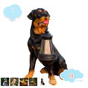 800円OFFクーポン ガーデン 置物 置物ライト ソーラーライト ガーデンライト かわいい 犬 オブジェ 癒しグッズ ポリレジン 庭 屋外 玄関 出窓 階段 ...