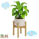 フラワースタンド 天然木 観葉植物 室内 鉢台 ポット 鉢スタンド シンプル ガーデニング 植木鉢台 プランターラック スタンド 鉢 竹製 フラワーポット 北欧...