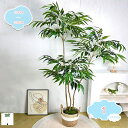 3500円OFFクーポン 大型 フェイクグリーン 人工観葉植物 本物そっくり 景観造園 パーティション 現代的な装飾 家の中に置く おしゃれ ホームデコレーション 屋内 アウトドア オフィス 室内 造園 細工が丁寧 フェイクツリー 観葉樹 プレゼント shopcp