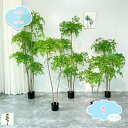 人工観葉植物 大型 フェイクグリーン 本物そっくり 観葉植物 インテリア おしゃれ フェイクグリーン お祝い 開店 開業祝い おしゃれ 観葉植物 ナチュラル フ...