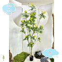 3500円OFFクーポン フェイクグリーン 大型観葉植物 フェイクツリー 人工観葉植物 自然なシミュレーション 鮮明な葉 飾り用 室内 玄関先 リビング ベッドルーム カフェ 事務所 オフィス ホームデコレーション フェイク観葉樹 フェイクグリーン shopcp