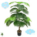 800円OFFクーポン 人工観葉植物 大型 熱帯観葉樹 おしゃれ フェイクグリーン インテリア シンプル 室内 屋内 バルコニー デコレーション オフィス 店舗 ベランダ 人工観葉植物 常緑樹 造樹 フェイクグリーン フェイクツリー プレゼント shopcp