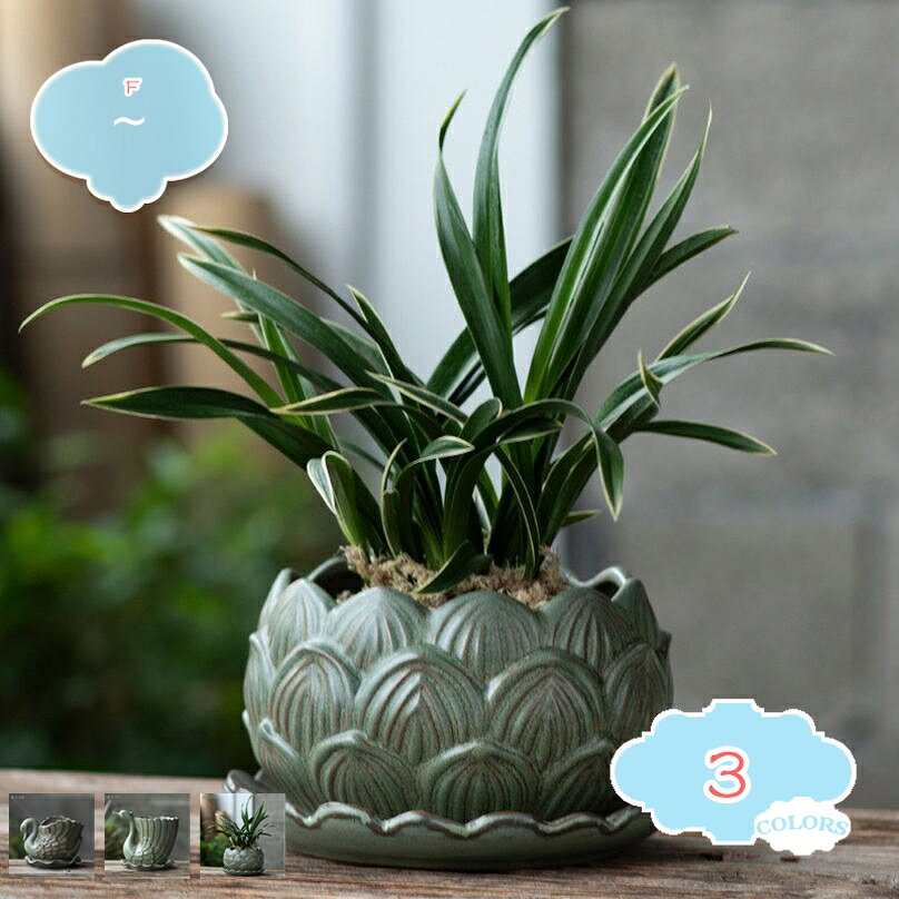 メイン素材：セラミック「注意事項：植物が含まれておりません。」【商品名】プランター（穴あり・受け皿付き）【素材】セラミック・陶器【サイズ】●タイプ1＝長（20cm）口径（13cm）高（15cm） ●タイプ2＝長（14cm）口径（10cm）高（10cm） ●タイプ3＝長（14cm）口径（11cm）高（10cm）非常に繊細な陶磁器の土を選んで、職人達が心を込めて作ったので、現代の技術を使用して焼成されます 。普通の陶器 植木鉢より耐久性がいいです、とても目を楽しませてくれます。リビング、キッチン、窓先、オフィス、インベントやパーティーの会場にも飾り物として置けば、落ち着いた雰囲気を演出します。ガジュマル、サンスベリア、パキラなどの観葉植物、サボテン、ハオルチアなどの多肉植物の鉢植えとして、またフェイクグリーン、インテリアグリーンなどにも使用できます。鉢底に穴が開いているので大切な植物の根腐れを防ぎます。底面が平らなのでテーブルの上に置いても倒れにくいです。【商品名】 ：プランター 【素材】：セラミック・陶器 【特徴】：穴あり 【サイズ】 ●タイプ1＝長（20cm）口径（13cm）高（15cm） ●タイプ2＝長（14cm）口径（10cm）高（10cm） ●タイプ3＝長（14cm）口径（11cm）高（10cm） ※注意事項：植物が含まれておりません。 ●上質なセラミックを採用して高温の環境で仕上げられて、可愛くて丈夫です。 ●陶器の鉢は光沢があるので、遠目からも存在感を発揮してくれます。北欧風の鉢はどこに置いても素敵です。 ●底面が平らなのでテーブルの上に置いても倒れにくいです ●底穴があり、排水に便利です。通気性がよく、根茎の呼吸が楽になり、植物の健康を保ちます。 ●庭の装飾、玄関、リビング、ダイニング 、オフィス、卓上のデコレーション......その他家の多くの場所として使用するのに適しています。 ■ キーワード： 装飾プランター 鉢 サボテン鉢 セラミック 草花 寄せ植え 観葉植物鉢 大型植木鉢 屋内植木鉢 植木鉢 室内用プランター 観葉植物植木鉢 多肉植物用植木鉢 多肉植物容器 多肉植物ポット 多肉容器 鉢植え 野菜栽培 プランター フラワーポット スタイリッシュ 容量たっぷり サボテンポット 陶器 ガーデンポット プラントポット 植物用プラントポット 園芸用品 園芸鉢 ハーブ鉢 花鉢 インテリア鉢 大きい 庭木鉢 ガーデン用品 室内屋外用 ガーデニング用品 アンティーク プランター用受皿 フラワーバスケット 北欧 鉢カバー 鉢植えカバー プランターカバー 樹脂プランター 樹脂プランター プラ鉢 陶器鉢 おしゃれな植木鉢 背の高い植木鉢 通気性がよい以下の用語は検索参考用であり、商品内容の詳細説明ではございません鉢 グレー 陶器 長方形 おしゃれ 大型 四角 9cm 8号 大きい プラスチック 穴なし 6号 茶色 セメント スクエア 10号 小さい 広い 排水できる 観葉 21型 室内用植木鉢 多肉植物プランター 支柱 受け皿 65型 45型 ミニ 野菜 本 土 肥料 深型 丸 苗 給水式 大型 陶器 おしゃれ スリム 60cm 台 高い 外 アルミ 木製 アイアン 屋外 四角 室内 オシャレ 3段 2段鉢 おしゃれ 大型 8号 10号 6号 陶器 5号 テラコッタ 受け皿 4号 室内 北欧 屋外 白 黒 3号 アウトレット 軽量 深型 プラスチック セット 丸 皿 観葉植物 グレー 受け皿付き 穴なし植木鉢 受け皿 45cm 陶器 30cm 10号 小さい 3号 プラスチック 7号 黒 ブラック 6号 テラコッタ バラ 浅型 受け皿付き ポット スリット鉢 アイアン 屋外 木製 ベランダ 高い 外 茶色