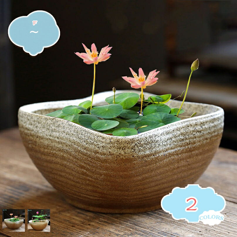 500円OFFクーポン植木鉢ガーデ...