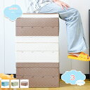 300円OFFクーポン 収納用品 たくさん収納できる衣装ケース 押入れ収納ケース 折りたたみ 蓋付き おしゃれ 無臭 引き出し収納ケース 取り外し可能 折り畳み...