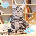 抱きまくら ねこ縫い包み 可愛い もこもこ 添い寝 抱き枕 猫クッション 柔らかい 多機能 横向き寝 洗える 癒し系 デスク 昼寝まくら プレゼント かわいい ふわふわ 特大 もちもち ふわふわ 柔らか 猫 クッション だきまくら shopcp