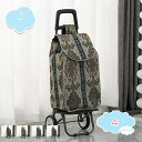 ショッピングカート 折り畳み 2輪 バッグ付き 取り外し可能 ショッピングキャリー 買い物カート キャリーカート 折りたたみ 大容量 収納 多用途 アウトドア 高齢者 プレゼント 荷物運搬 引越し 買い物 キャンプ shopcp
