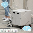 1000円OFFクーポン キャリーカート ショッピングカート ショッピングキャリー 折りたたみ 買い物カート 4輪 360°回転 大容量 軽量 静音 コンパクト おしゃれ 簡単組立 買い物 アウトドア プレゼント 荷物運搬 引越し キャン 釣り 花見 shopcp