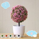 550円OFFクーポン フェイクプラント 人工鉢植え 小さなフェイクツリー ポット 盆栽 シミュレーション植物 ホームオフィスの装飾 テーブルセンターピース 花...