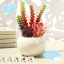 500円OFFクーポン フェイクプラント フェイクプラント 鉢植えの人工プラスチック植物 白い鉢植えのミニフェイクプラント 植物の装飾 家庭やオフィスのデスクトップの装飾のための屋内フェイクデスクプラント 人工観葉植物 shopcp