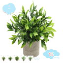 550円OFFクーポン フェイクグリーン 人工観葉植物 観葉植物フェイク 鉢植え ふぇいくぐりーん 造花 観葉植物 セットフェイクグリーン ミニ 観葉植物 フェ...