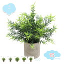 800円OFFクーポン フェイクグリーン 人工観葉植物 観葉植物フェイク 鉢植え ふぇいくぐりーん 造花 観葉植物 セットフェイクグリーン ミニ 観葉植物 フェイク セット インテリア 可愛い 人工観葉植物 小さい 観葉植物フェイク小型 ミニ 観葉植物 人工植物インテリア shopcp