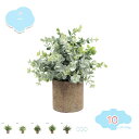 550円OFFクーポン フェイクグリーン 人工観葉植物 観葉植物 フェイク 観葉植物 鉢植え 造花 インテリア 可愛い 小さい人工植物 インテリア飾り 父の日 ...