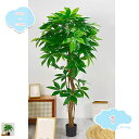 フェイクグリーン 人工観葉植物 フェイク 人工観葉樹 大型 造花 鉢付 おしゃれ オフィス 開店祝い 170cm お手入れ簡単 水やり不要 虫害の心配なし 人工...