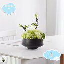 1650円OFFクーポン フェイクプラント フェイクプラント 人工観葉植物 盆栽シミュレーション 細かい葉 緑の植物 鉢植えの植物の装飾 ポーチ リビングルーム オフィス ティーハウス 盆栽 ソフト装飾 装飾 人工観葉植物 shopcp