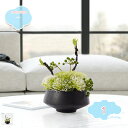 3500円OFFクーポン フェイクプラント フェイクプラント 人工観葉植物 盆栽シミュレーション 細かい葉 緑の植物 鉢植えの植物の装飾 ポーチ リビングルーム オフィス ティーハウス 盆栽 ソフト装飾 装飾 人工観葉植物 shopcp