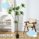 3500円OFFクーポン 造花 インテリア 人工観葉植物 フェイクグリーン 観葉植物 グリーン ロングスクエア 大型 大きい 観葉植物 お祝い 開店祝い 観葉 ...